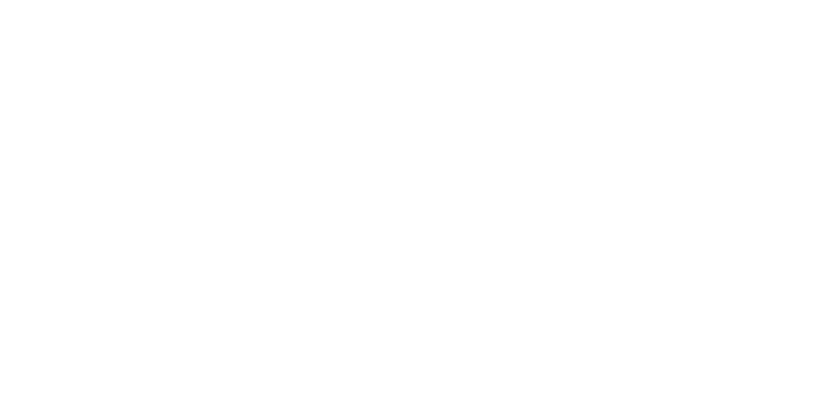 IVADO