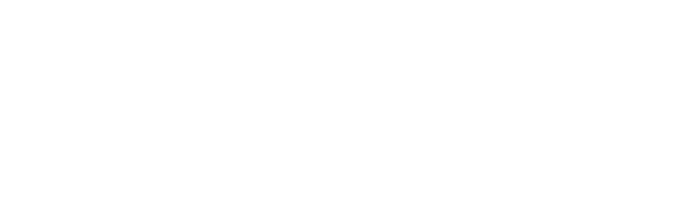 Printemps numérique